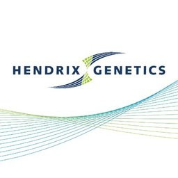 Hendrix Genetics