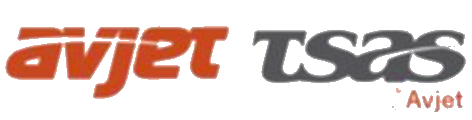 Avjet Holding, Inc.