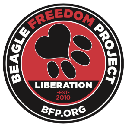 Beagle Freedom Project