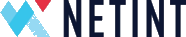 NETINT Technologies Inc.