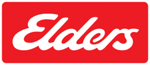 Elder