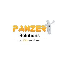 Panzer Solutions LLC