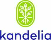 Kandelia