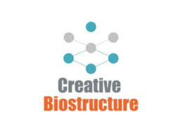 creativebiostructure