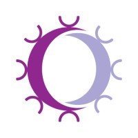 Repertoire Immune Medicines
