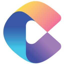 Catapult Solutions Group