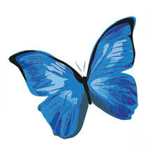 Blue Sky Fertility