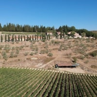 Querceto di Castellina