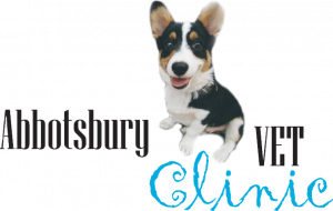 Abbotsbury Veterinary Clinic
