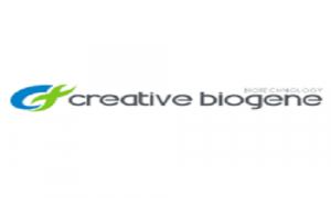 Creative Biogene
