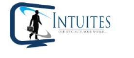 Intuites LLC