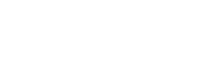 CHILDRENS HUNGER FUND