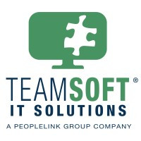 TeamSoft