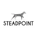 SteadPoint