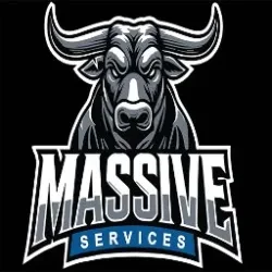 MASSIVE SERVICES LLC