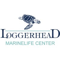 Loggerhead Marinelife Center