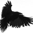 Raven Security Group