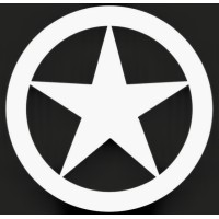 Lonestar Data Holdings Inc.