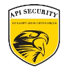 API Security Inc.