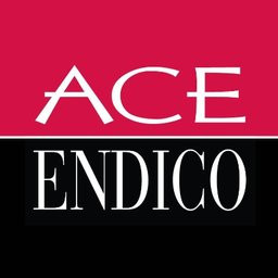 Ace Endico Corp