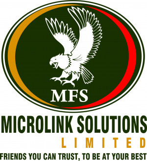 MICROLINK FINANCIAL SOLUTIONS