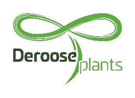 Deroose Plants Inc.