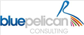 Blue Pelican