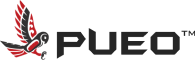 Pueo Business Solutions LLC
