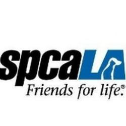 spcaLA