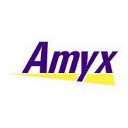 Amyx, Inc.
