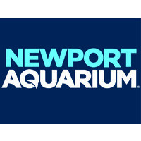 Newport Aquarium