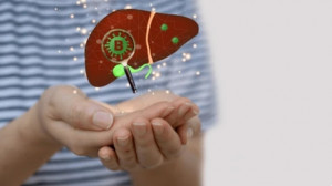 Hepatitis Virus Animal Model