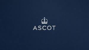 Ascot Group