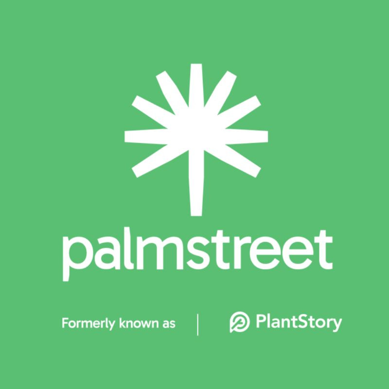 Palmstreet