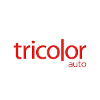 Tricolor Auto Group