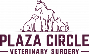 Plaza Circle Veterinary Surgery