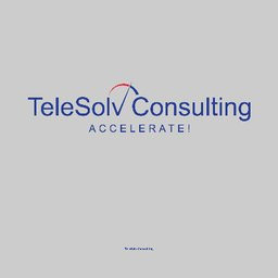 TeleSolv Consulting