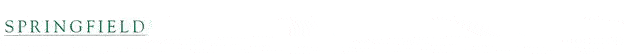 Springfield Financial Advisory Ltd