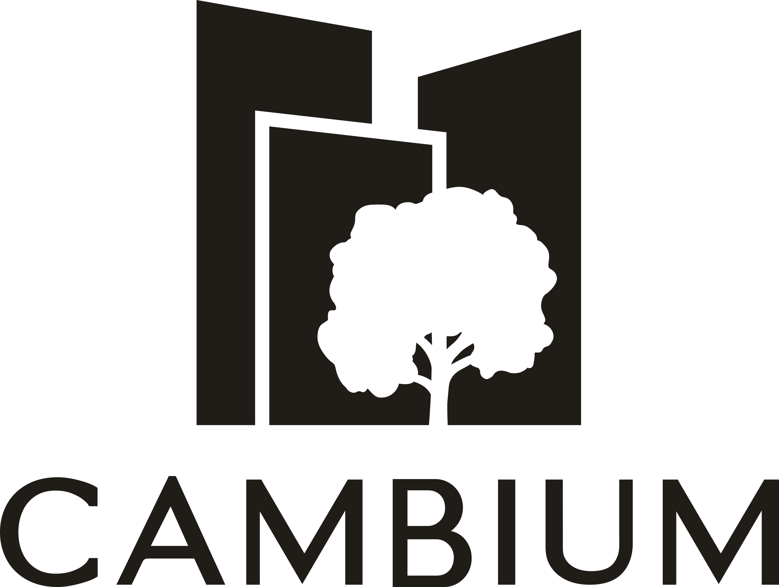 Cambium