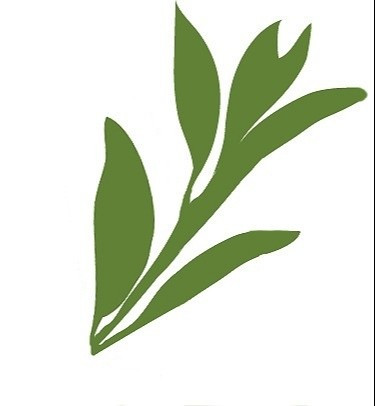 Strategic Actions for a Just Economy   (SAJE)