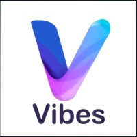 Vibes Meet LLC