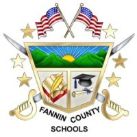 FANNIN COUNTY SCHOOL SYSTEM