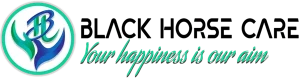 Black Horse Care Ltd