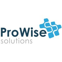 Prowise Solutions Inc