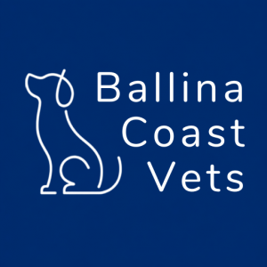 Ballina Coast Vets
