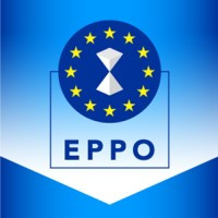 European Public Prosecutor's Office (EPPO)