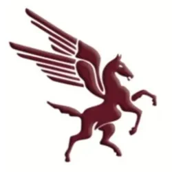 Pegasus Building Services