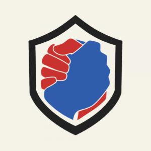 Task Force for Democracy