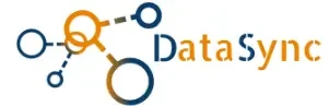 DataSync Inc.