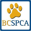 BCSPCA